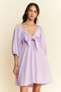 Davi & Dani Self-Tie Puff Sleeve Smocking Open Back Mini Dress