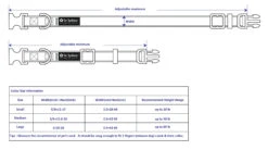 Tennis Ball Star Blue & Yellow Adjustable Sporty Dog Collar -Sydney So Sweet AAA Collar Size 1 5ac5a5d1 732d 455e bc05 34590acaa617