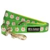 Chickens In A Row Fun And Funky Cute Dog Leash -Sydney So Sweet ChickenLeashc 1