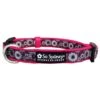 Hot Pink & Black Daisy Floral Fashion Cute Dog Collar -Sydney So Sweet DaisyHotPink BlackCollarc 1