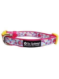 Wildflower Daisy Pink & Blue Comfy, Cute, Fashion Dog Collar -Sydney So Sweet DaisyPinksCollarc 1