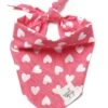 Dog Bandana - Whole Lotta Love Hot Pink Heart -Sydney So Sweet DogBandana WholeLottaLoveHPHeart