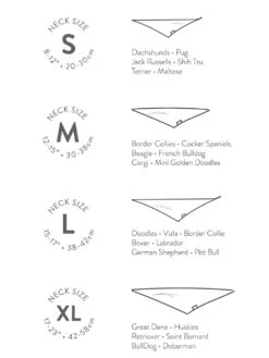 Dog Bandana - Dog Birthday Bandana Gifted Pink -Sydney So Sweet DogBandanaSizeChart dc4f7051 9285 4b06 9cc2 c6764fc653cd