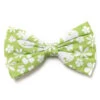 Dog Bow Tie - Skippy Spring Rabbit