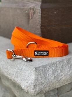 Orange Nylon Dog Leash For Small, Medium, Or Large Dogs -Sydney So Sweet DogLeashOrange