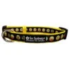 Emoji Faces Black & Yellow Fun Fashion Dog Collar