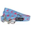 Fancy Flamingo Blue & Pink Cute & Fun 5' Dog Leash -Sydney So Sweet FlamingoLeashc 1