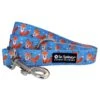 Fox Hunt Blue & Orange Cute, Bright, & Fun 5' Dog Leash -Sydney So Sweet FoxLeashc 1