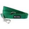 Green 5' Nylon Dog Leash For Small, Medium, Or Large Dogs 1 Green 5' Nylon Dog Leash For Small, Medium, Or Large Dogs -Sydney So Sweet GreenLeashc 1