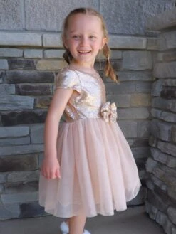 Golden Sequin Bow Tulle Fancy Or Special Occasion Girls Tutu Dress -Sydney So Sweet HadleyGoldSequinDress2
