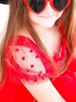 Red Heart Tulle Chiffon Special Occasion Girls Tutu Dress -Sydney So Sweet HarlowRedHeartsDress4