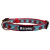 Ladybug Summer Blue & Red Cute & Comfy Dog Collar -Sydney So Sweet LadybugCollarc 1