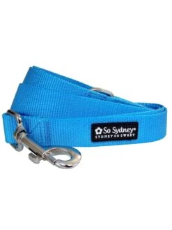 Light Blue Nylon Dog Leash For Small, Medium, Or Large Dogs