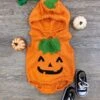 Lil Pumpkin Hooded Baby Bunting Halloween Costume