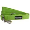 Lime Green - Nylon Dog Leash For Small, Medium, Or Large Dogs -Sydney So Sweet LimeGreenLeashc 1
