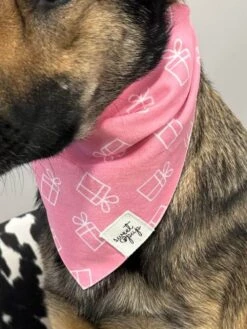 Dog Bandana - Dog Birthday Bandana Gifted Pink -Sydney So Sweet LunaGiftedPink2s