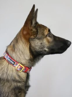 Superhero Blue Red Yellow Comfy, Adjustable Fashion Dog Collar -Sydney So Sweet LunainSuperHeroCollars 1