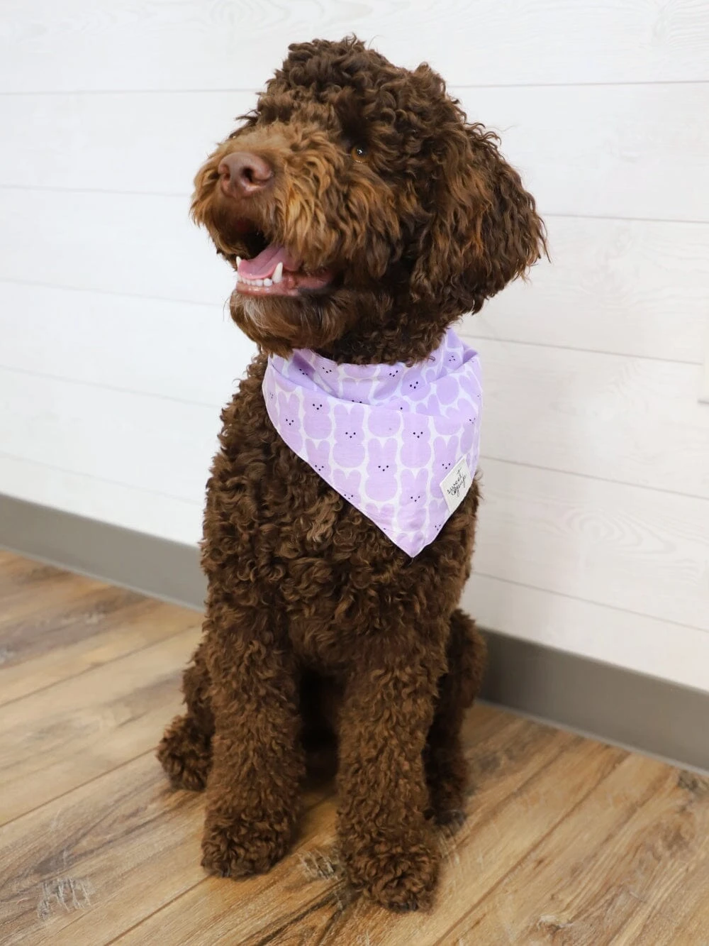 Dog Bandana - Lavender Easter Peep 3 Dog Bandana - Lavender Easter Peep