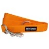 Orange Nylon Dog Leash For Small, Medium, Or Large Dogs -Sydney So Sweet OrangeLeashc 1