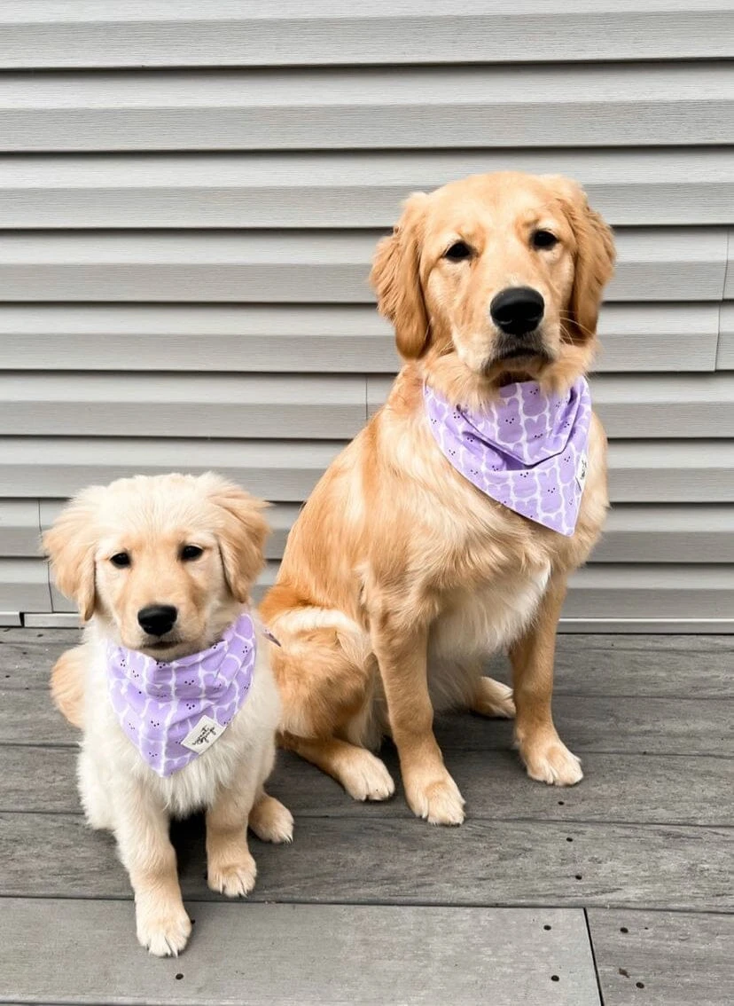 Dog Bandana - Lavender Easter Peep 4 Dog Bandana - Lavender Easter Peep - Image 2