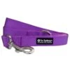 Purple 5' Fashion Basic Nylon Dog Leash For Small, Medium, Or Large Dogs -Sydney So Sweet PurpleLeashc 1
