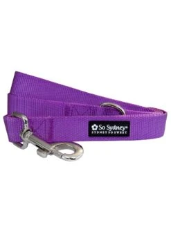 Purple 5' Fashion Basic Nylon Dog Leash For Small, Medium, Or Large Dogs