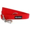 Red Fashion Basic Nylon Dog Leash For Small, Medium, Or Large Dogs