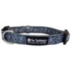 Spooky Skull Halloween Skeleton Fun Fashion Holiday Dog Collar