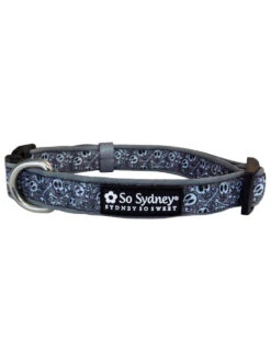 Spooky Skull Halloween Skeleton Fun Fashion Holiday Dog Collar