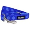 Frozen Winter Snowflake Blue Cute Fashion 5' Dog Leash -Sydney So Sweet SnowflakeLeashc 1