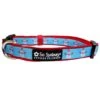 Frosty The Snowman Winter Blue Fashion Holiday Dog Collar