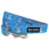 Frosty The Snowman Winter Holiday Blue Trendy 5' Dog Leash