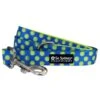Tennis Ball Star Blue & Yellow Cute And Fun Nylon Dog Leash -Sydney So Sweet TennisBallLeashc 1