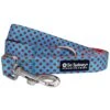 Light Blue & Red Polka Dots Bright & Cute Unique Dog Leash -Sydney So Sweet TurqRedPolkaDotLeashc 1