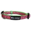 Watermelon Sugar Pink & Green Fun Fashion Dog Collar -Sydney So Sweet WatermelonCollarc 1