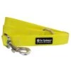 Yellow Basic Nylon Dog Leash For Small, Medium, Or Large Dogs -Sydney So Sweet YellowLeashc 1