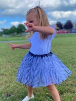 Zebra Tutu Skirt For Girls – 3-Layer Tulle Ballet, Dance, And Dress-Up Costume Skirt