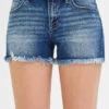 RISEN Full Size Low Rise Frayed Denim Shorts Plus Size